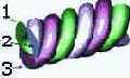 PLM -